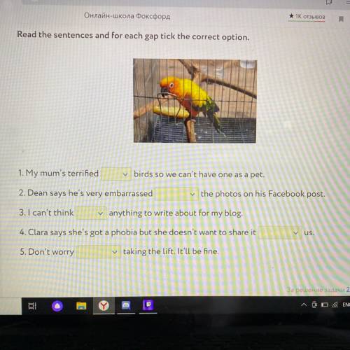 Read the sentences and for each gap tick the correct option. 1. My mum's terrified birds so we can't