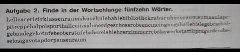 Aufgabe 2. Finde in der Wortschlange fünfzehn Worter​