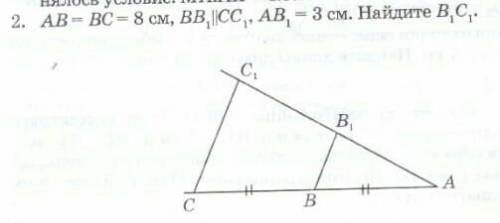 AB = BC = 8см BB1 || CC1, AB1 = 3 см. Найдите B1C1!​