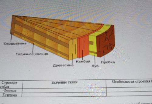 3 Рассмотрите изображение ​