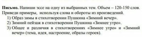 Письмо. Напиши эссе на одну из выбранных тем. Объем – 120-150 слов. Приведи примеры, используя слова