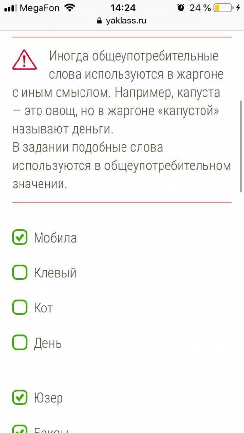 В задании надо найти жаргонизмы. Я правильно отметил? Есть ещё?