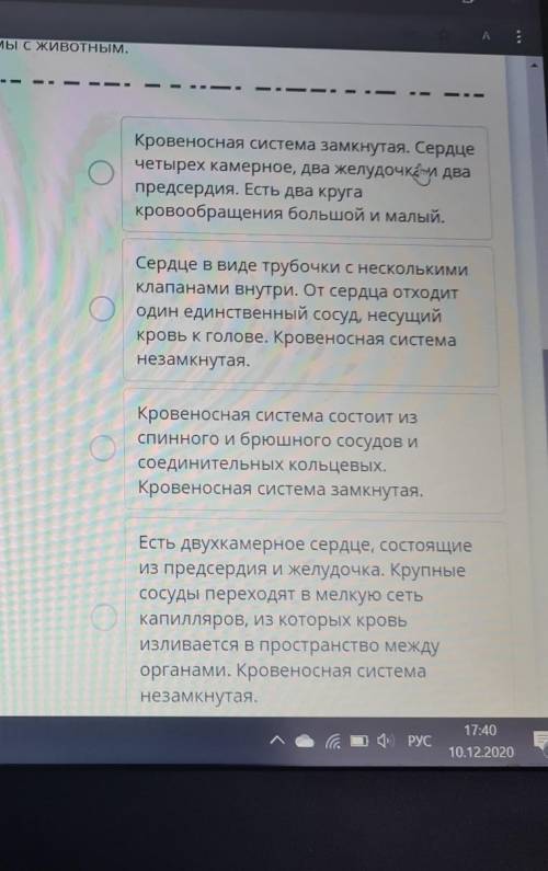 Соотнесите характеристики кровеносной системы с животным 1. дождевой червь 2. улитка3. оса4. щенок ​