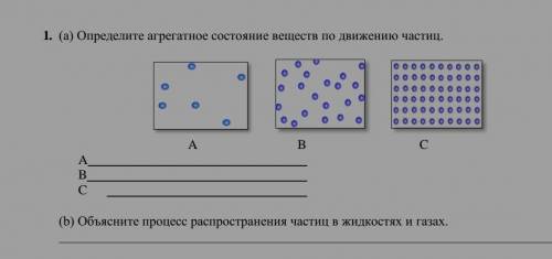 Опериделите агрегатное состояние веществ по движению частиц ​