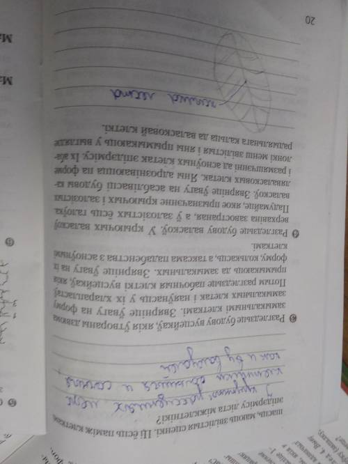 разобраться 30 даю на белорусском языке