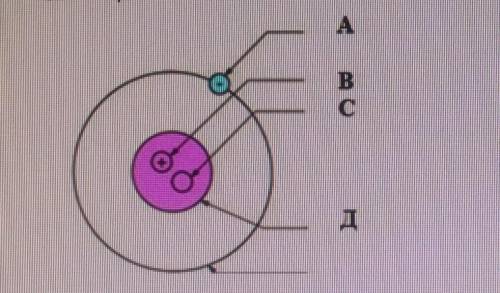 3. Подпишите каждую стрелку составных частей атома и содержащихся в них элементарных частиц. АBсди с
