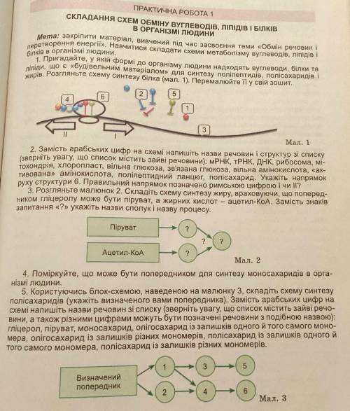 СКЛАДАННЯ СХЕМ ОБМІНУ ВУГЛЕВОДІВ, ЛІПІДІВ І БІЛКІВ В ОРГАНІЗМІ ЛЮДИНИ Дам 100, якщо повністю зробите