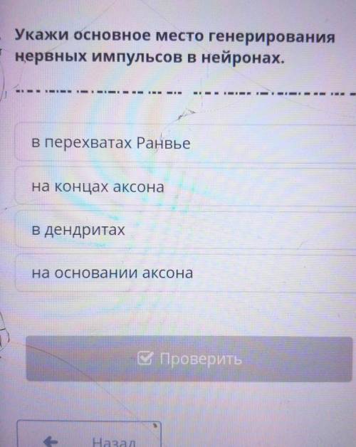 Укажи основное местогенерирования нервных импульсовВ нейронах.​