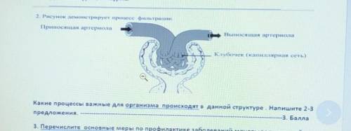 2 Рисунок демонстрирует перенесе фильтрынан Приносящая артериолаВна канал стеронаКачек (Калярная сет