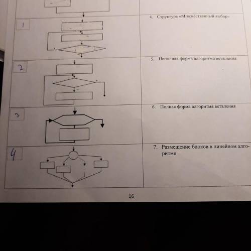 Заполните базовые структуры алгоритмов и установите соответствие между структурой алгоритма и их наз