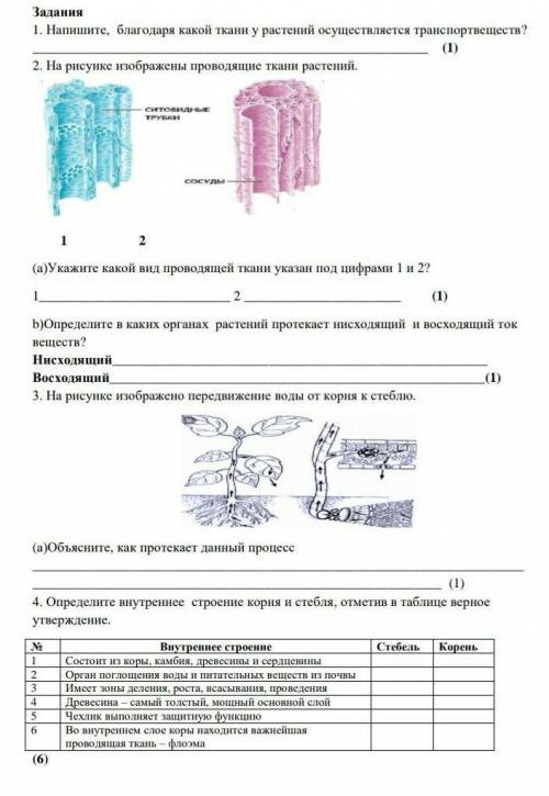 Задания 1. Напишите, благодаря какой ткани у растений существляется транспортвеществ? сорр​