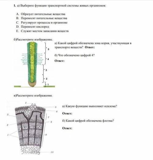 Выберите функции транспортной системы живых организмов: а. образует питательные вещества Б. переноси