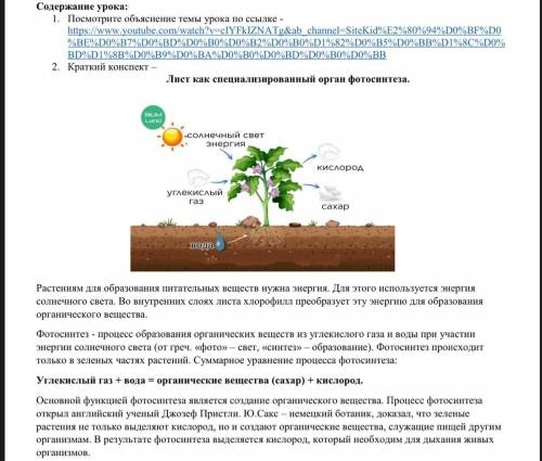 2. Краткий конспект Лист как специализированный орган фотосинтеза Солнечный свет энергия, кислород,