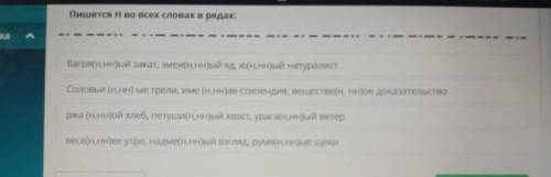 Пишется Н во всех словах в рядах: