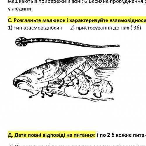 Рассмотрите рисунок и характеризуйте взаимоотношения организмов по следующим пунктам: 1) тип взаимоо