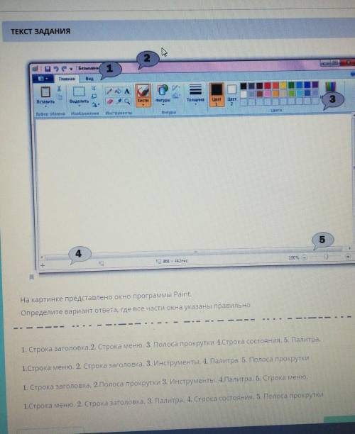 To 868 x 442nкс А.10035ПНа картинке представлено окно программы Paint.Определите вариант ответа, где