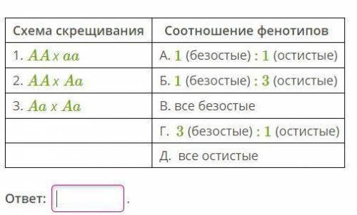 У пшеницы безостый колос (A) доминирует над остистым (a). Установи соответствие между схемой скрещив