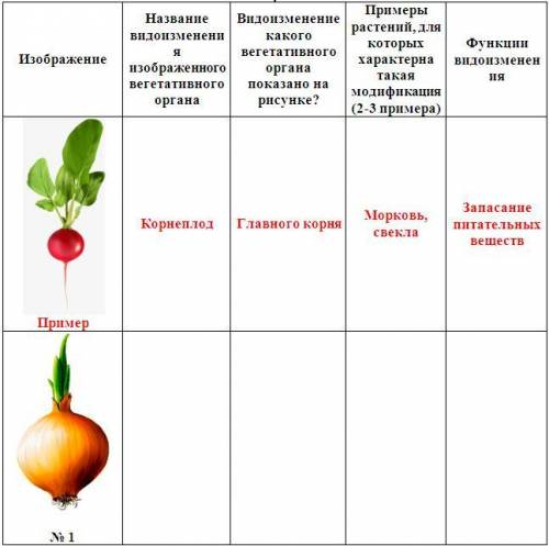 памагити у вас есть три дня чтоб решить Заполните таблицу «Видоизменения вегетативных органов», по п