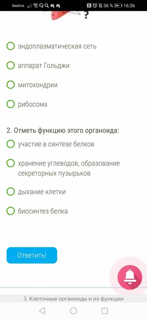 Отметь название клеточного органоида, представленного на рисунке: