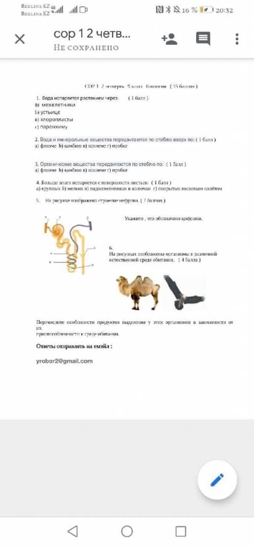 Задание №6. Перечислите особенности продуктов выделения у этих организмов в зависимости от их при к