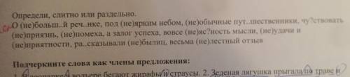 подалуйста.Надо просто поставить где есть частица НЕ а где нету и вставлять буквы и все. '