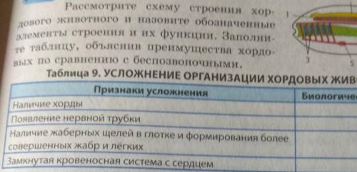 1 Адового животного и назовите обозначенныеэлементы строения и их функции. Заполни-те таблицу, объяс