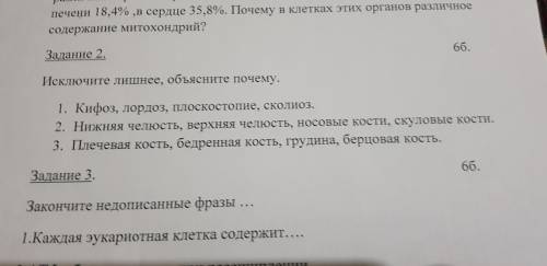 Люди с олимпеадой Мне только второе задание