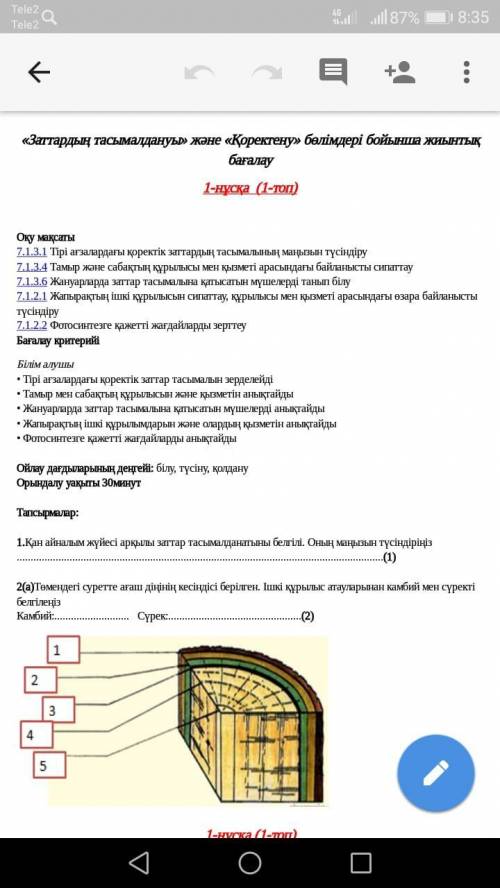 Суретте агаш берылген ышкы курылыс атауларынан камби мен суректы белгыленыз