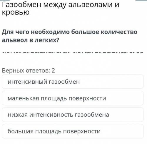 Для чего необходимо большое количество альвеол?​