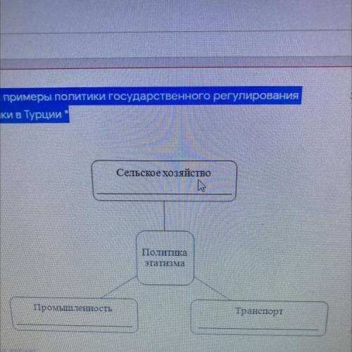 Приведи примеры политики государственного регулирования экономики в Турции *