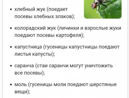 1) зачем нужно изучать и знать насекомых? 2) какие насекомые считаются вредными? 3) почему возникаю