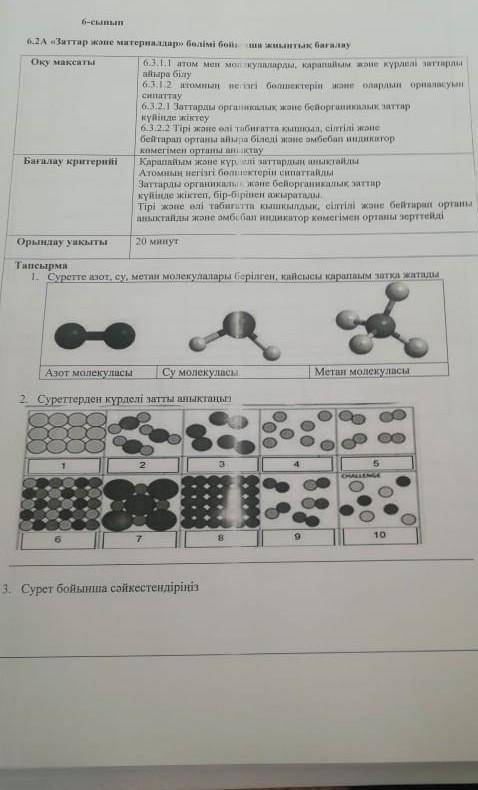 Кім біледі алтыншы сынып ​