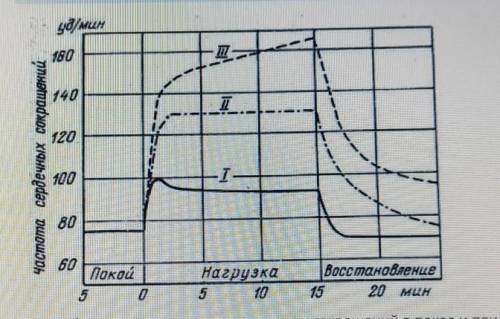 на графике показаны частота сердечных сокрошений в покое и при нагрузках.Опишите как влияют физическ