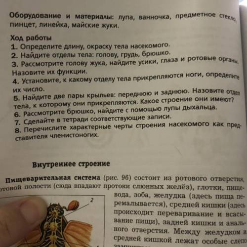 сделать лабораторную работу по биологии! Внешнее строение насекомых на примере майского жука!