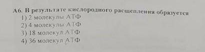 В результате кислородного расщепления образуется​