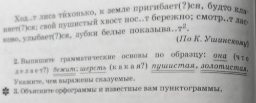 ||. У кумушки-лисы зубушки острые, рыльце тоненькое, шубка тёпленькая. Хорошо кума принаряжена: шерс