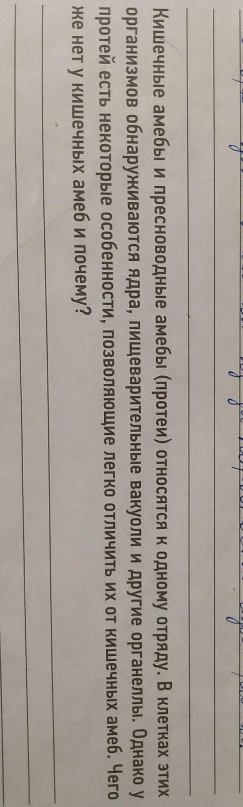 ответьте на вопрос про амёб(не писать ерунду?​