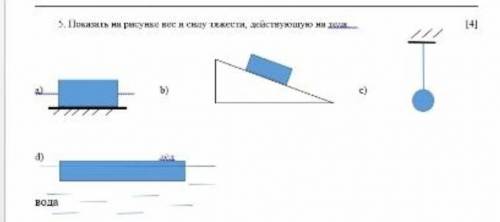 Показать на рисунке вес и силу тяжести,действующие на тела:​