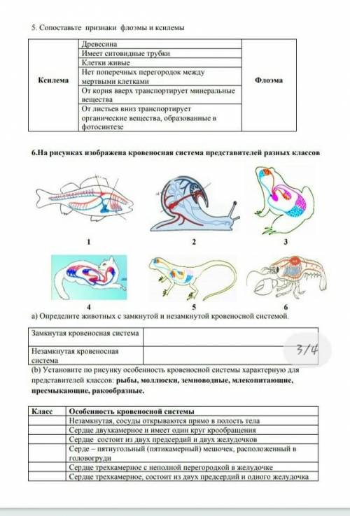 через 20 минут здавать за ранее благодарю ​