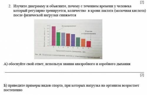 2. Изучите диаграмму и объясните, почему с течением времени у человека который регулярно тренируется