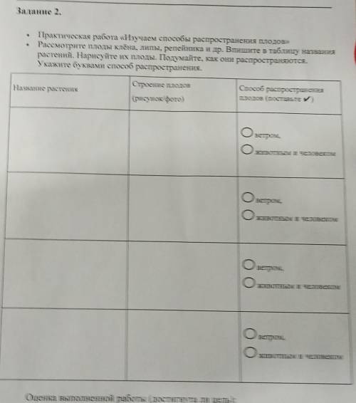 Практическая работа «изучаем распространения плодов» Рассмотрите плоды клёна, липы, репейника и др.