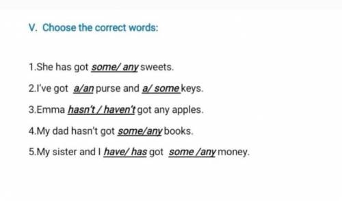 V. Choose the correct words: 1.She has got some/ any sweets. 2./'ve got a/an purse and a/ some keys.