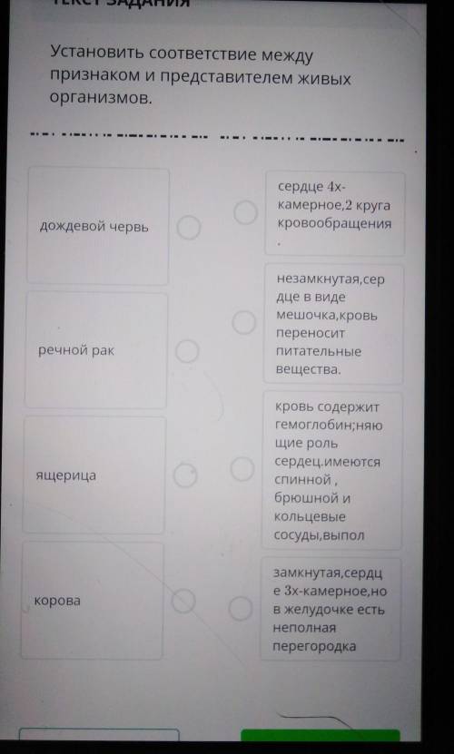 Установить соответствие между признаком и представителем живых организмов​