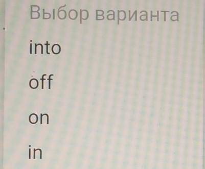 Complete the sentences with the correct phrasal verb. Укажите правильный вариант ответа:I'll turn th