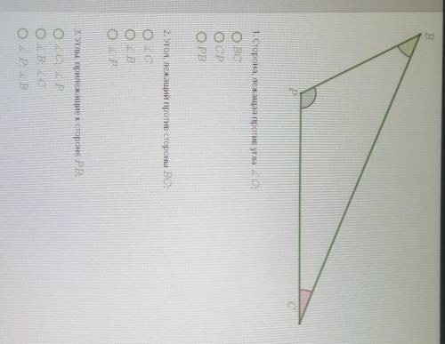 Правильно выбери названия сторон и углов треугольников PBC​