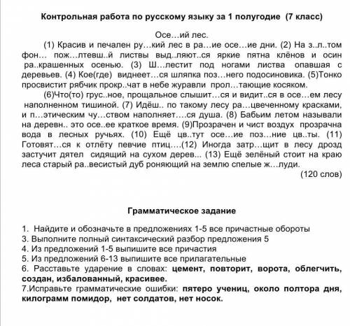 Решите контрольную по русскому языку 7 класс.фото снизу