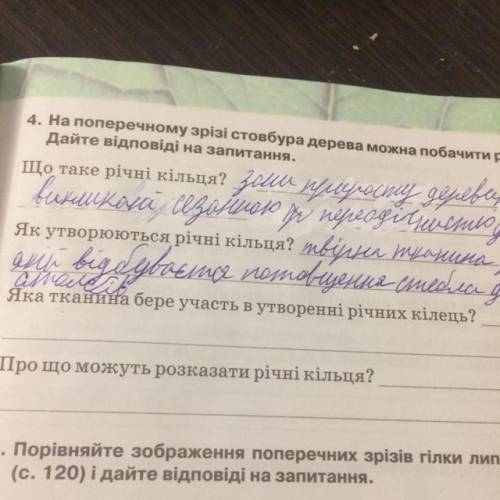 Яка тканина бере участь в утворенні річних кілець?