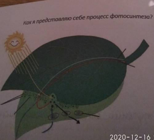 Как я представляю себе процесс фотосинтеза​