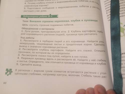 Биология нужно сделать лабораторную работу! Страница 60!