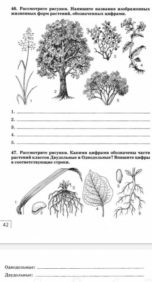 2 лёгких задания по биологии 5 класс 46,47​